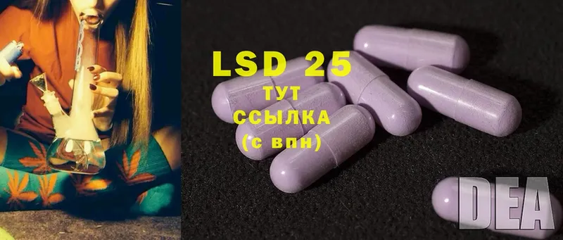 продажа наркотиков  мега как зайти  ЛСД экстази ecstasy  Моздок 